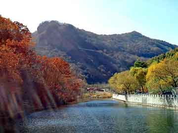 正版澳门天天开彩大全，泛目录权重